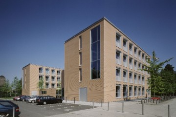 Faculty of English