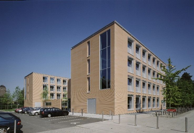 Faculty of English